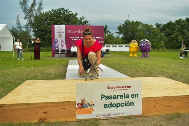 Realizarán en Poza Rica pasarela de animales rescatados