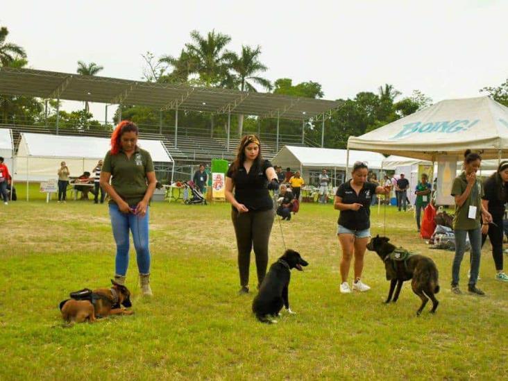 Realizarán en Poza Rica pasarela de animales rescatados