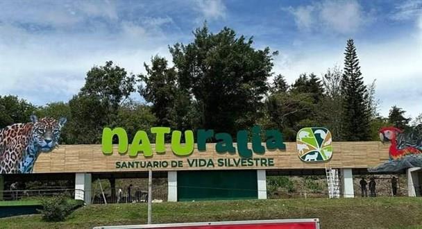 Proyecto Naturalia en la capital Xalapa