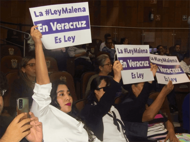 Esta es la pena de cárcel que habrá en Veracruz por la Ley Malena