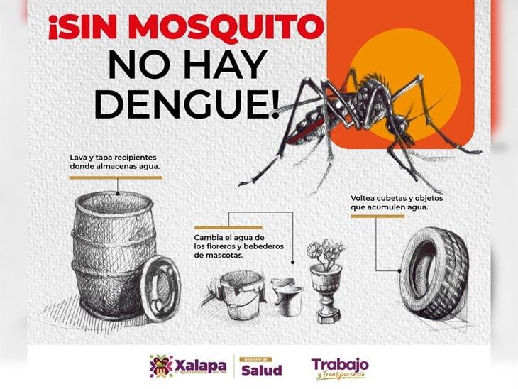 Dengue en Xalapa: estas son las acciones que se toman para prevenir el aumento de casos