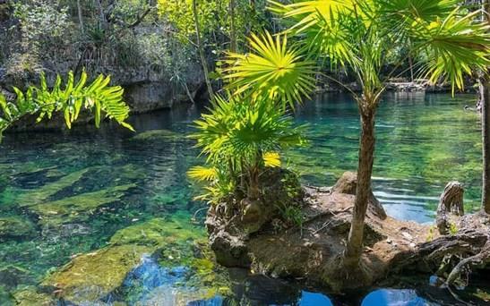 ANP’s guardianas de la naturaleza