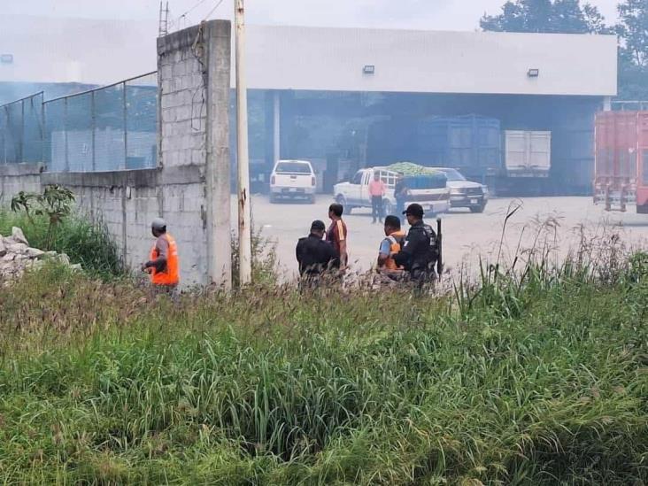 Incendio cerca de CitroJugo en Martínez de la Torre moviliza a Bomberos y PC