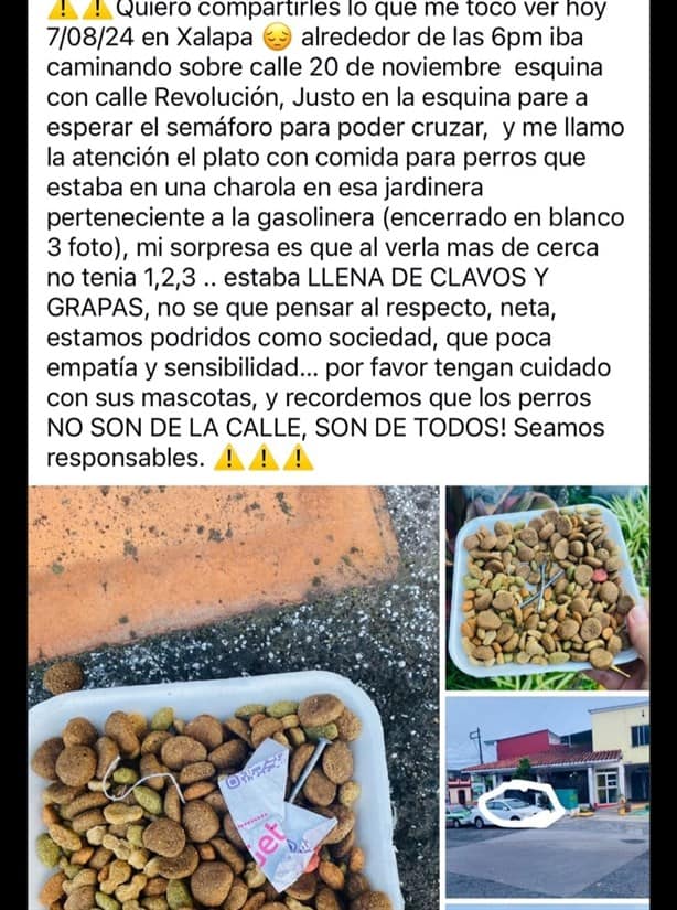 ¡No tienen... alma! Denuncian en Xalapa a quienes dejan comida dañina para perros