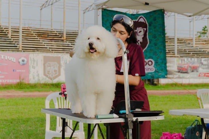 Expo Mascotas 2024 en Poza Rica, se realizó con gran éxito