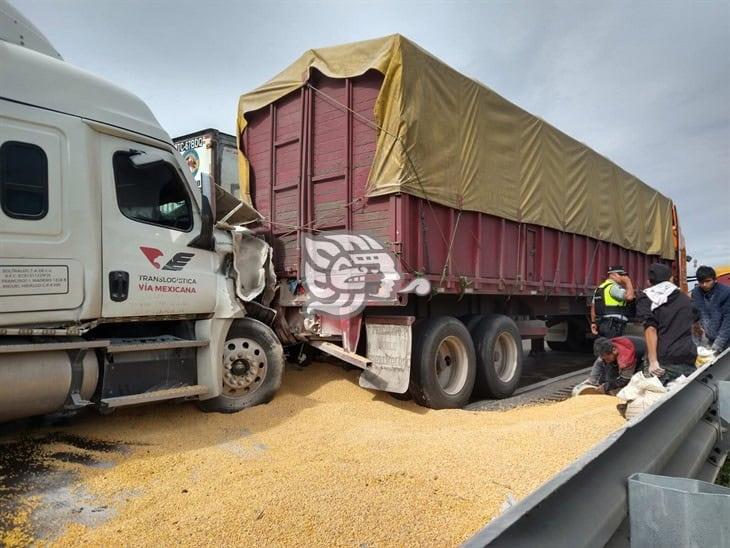 Derrame de maíz en grano por choque de tráileres en la Autopista Veracruz-Córdoba