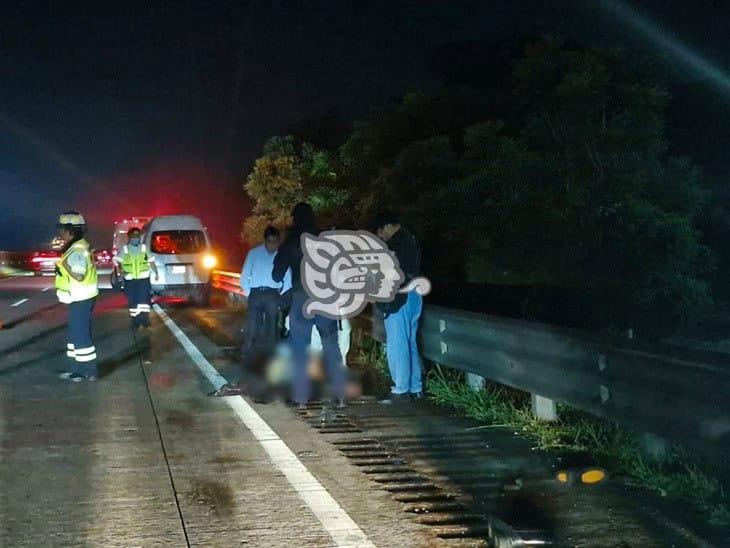 Hallan a hombre sin vida en la Autopista Córdoba-Veracruz; habría sido atropellado