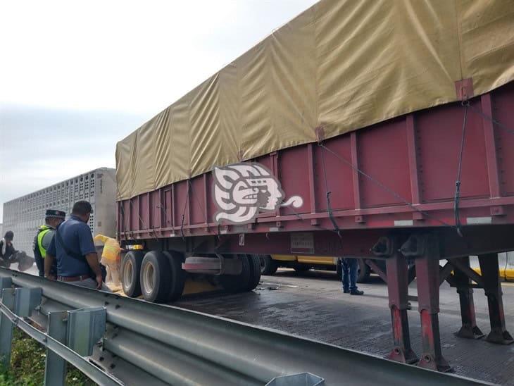 Derrame de maíz en grano por choque de tráileres en la Autopista Veracruz-Córdoba