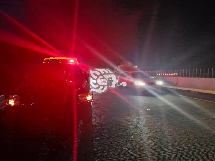 Hallan a hombre sin vida en la Autopista Córdoba-Veracruz; habría sido atropellado