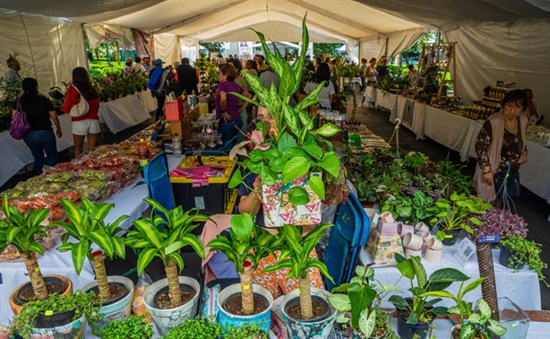 Expo Flores en Xalapa: más de 40 expositores en el parque Juárez