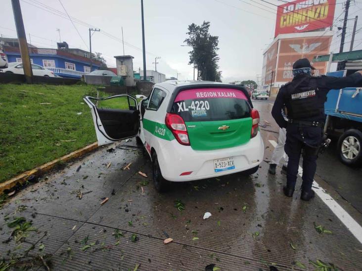 ¡Lo partió un rayo! Cae árbol en Xalapa y aplasta taxi en avenida Lázaro Cárdenas (+Video)