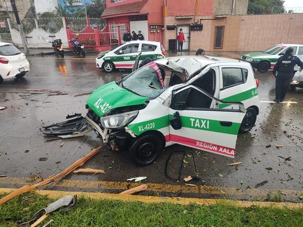 ¡Lo partió un rayo! Cae árbol en Xalapa y aplasta taxi en avenida Lázaro Cárdenas (+Video)