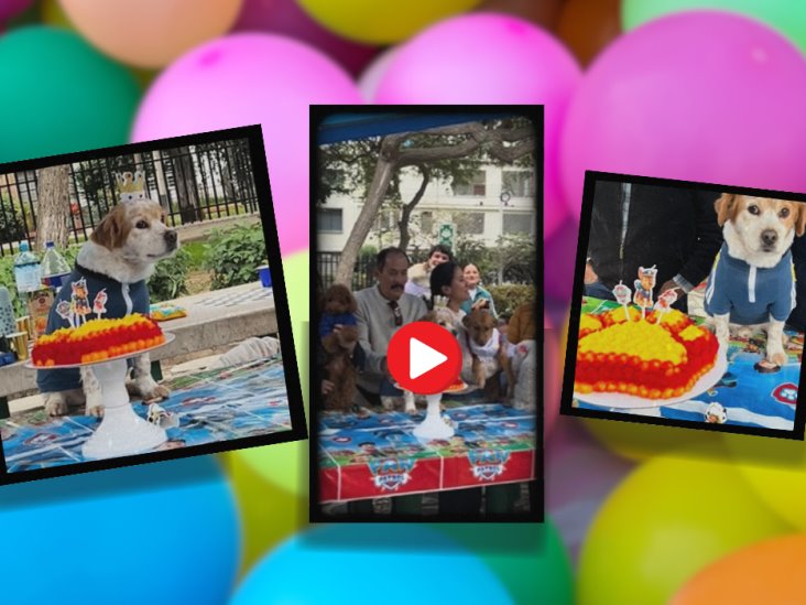 Video VIRAL perrito celebra cumpleaños en parque e invitan a más lomitos