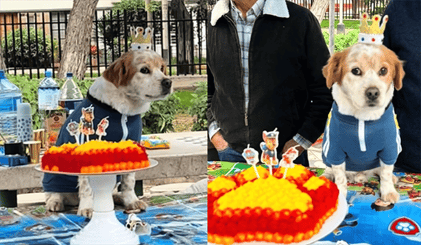 Video VIRAL perrito celebra cumpleaños en parque e invitan a más lomitos