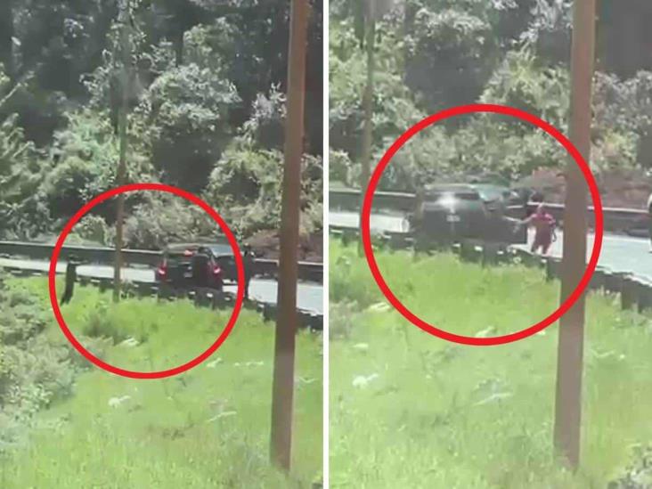 ¡A pleno día! Revelan VIDEO de asalto en la autopista Orizaba-Puebla