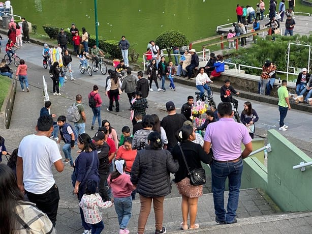 Lagos de Xalapa se convierten en cloaca; heces envenenan agua