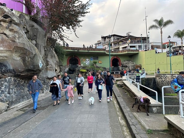 Lagos de Xalapa se convierten en cloaca; heces envenenan agua