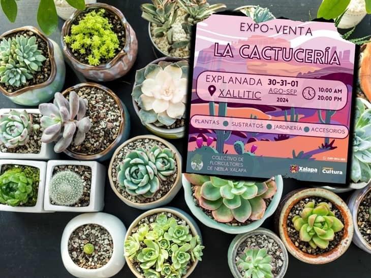 ¿Amante de los cactus? ¡No te pierdas esta Expo-venta en Xallitic!