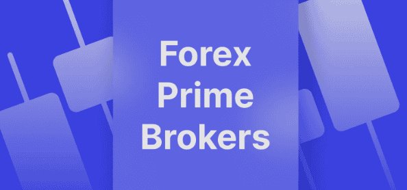 El Rol y las Funciones de los Prime Brokers de Forex