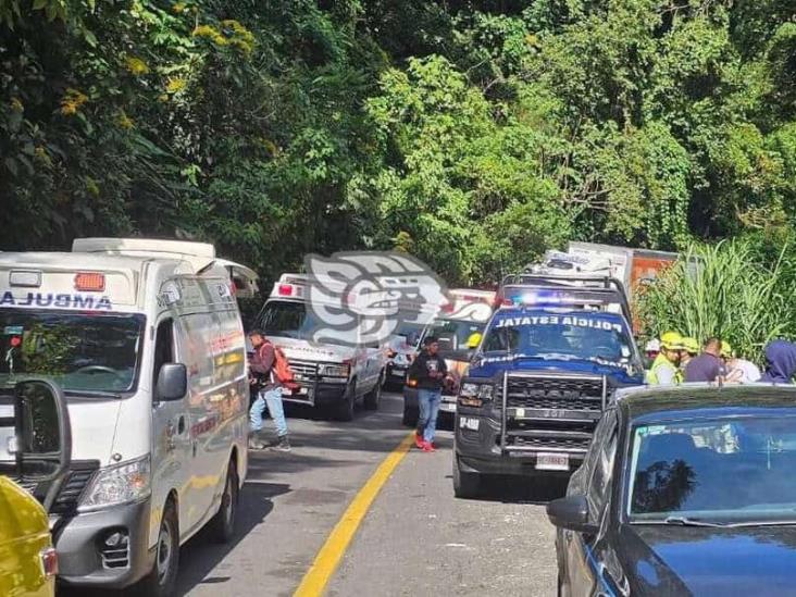 Accidente en carretera Fortín-Huatusco: Autobús cae a barranco, deja 4 muertos y más de 30 heridos