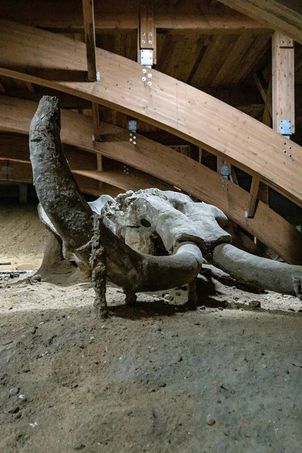 El regreso del mamut: ¿Cómo la ciencia planea traer de vuelta a este gigante prehistórico?