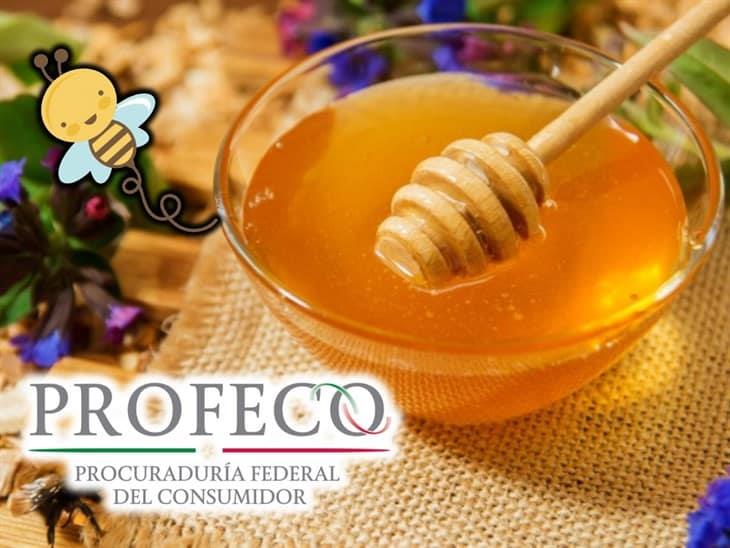 Estas son las mejores marcas de miel 100% de abeja según Profeco