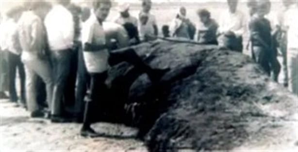 ¿Conoces la historia del monstruo marino de Tecolutla, Veracruz? Te contamos