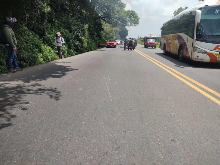 Muere motociclista al derrapar y chocar con auto en carretera Xalapa-Perote