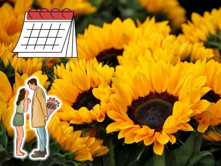 ¿Cuándo y por qué se regalan flores amarillas en septiembre? ¡Entérate!