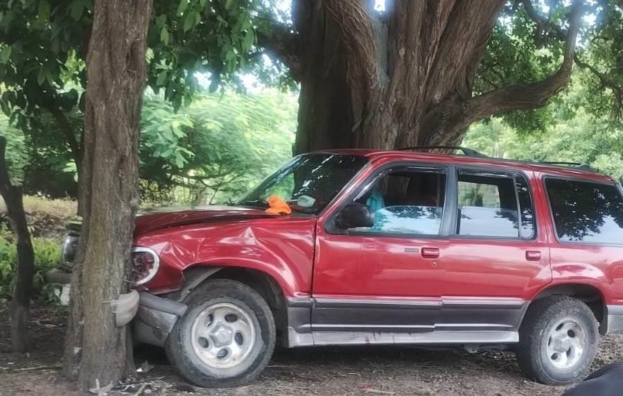 Se estrella contra árbol en Paso de Ovejas