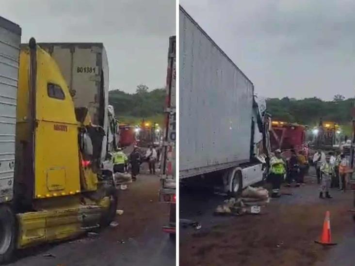 Chocan varios tráileres en la autopista Córdoba-Veracruz