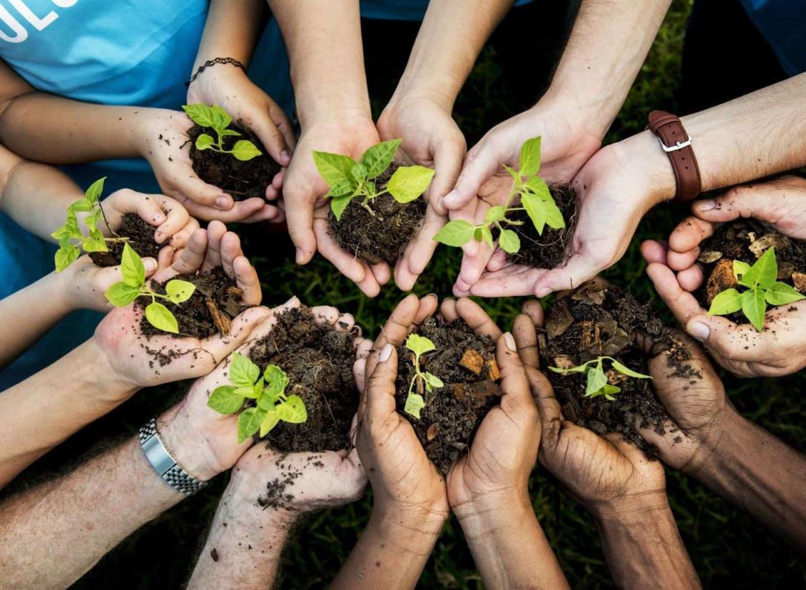 Innovación tecnológica para la conservación ambiental