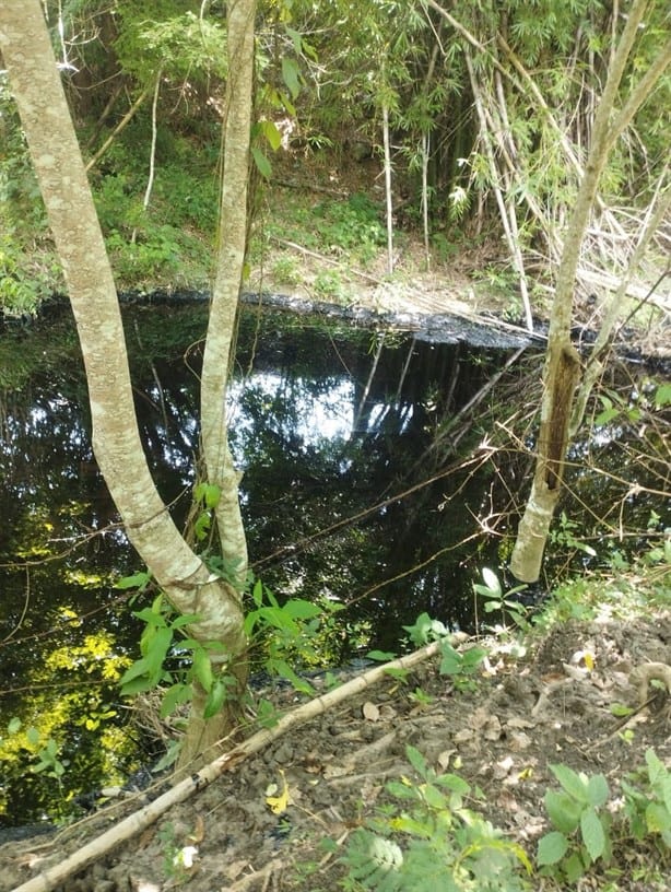 Pemex no detiene fuga en Papantla desde junio; daños al ecosistema y salud