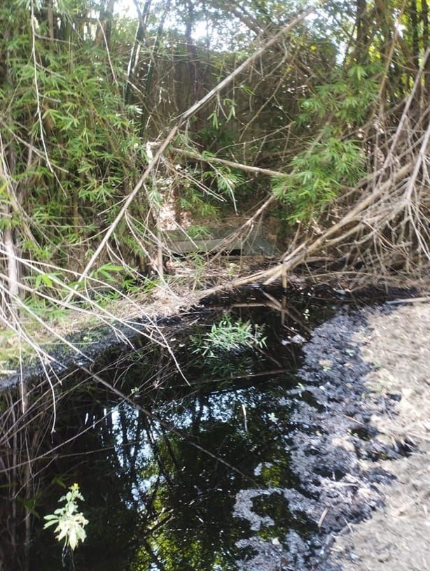 Pemex no detiene fuga en Papantla desde junio; daños al ecosistema y salud