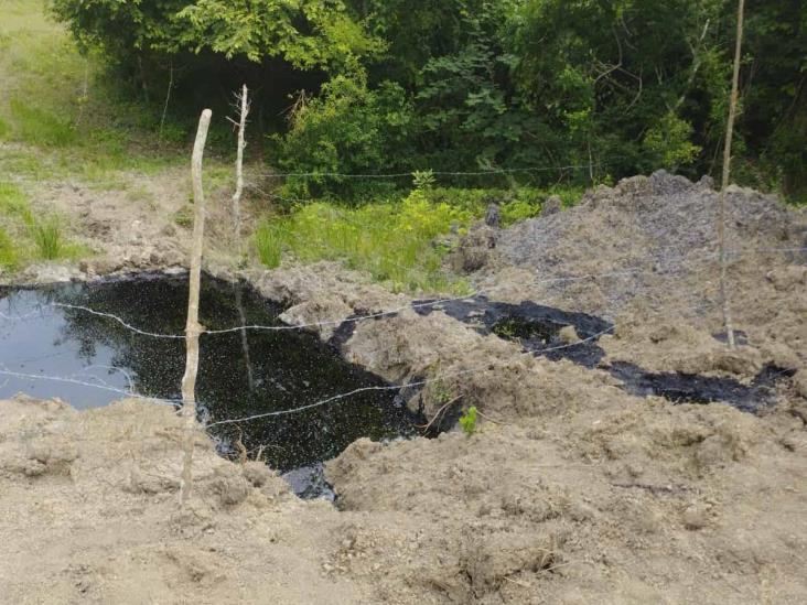 Pemex no detiene fuga en Papantla desde junio; daños al ecosistema y salud