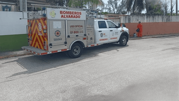 Bomberos de Alvarado eliminan panales de avispas y abejas africanizadas en zonas escolares y residenciales