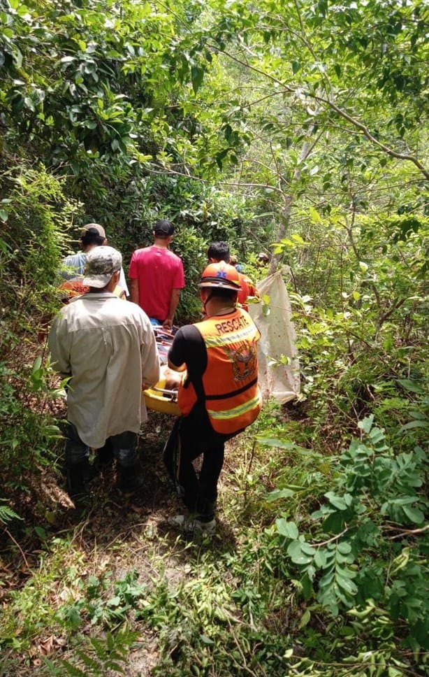 Adulto mayor sufre grave caída mientras cosechaba pimienta en Misantla