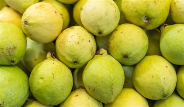 Por fiestas patrias federación garantiza abasto de insumos para aguas frescas