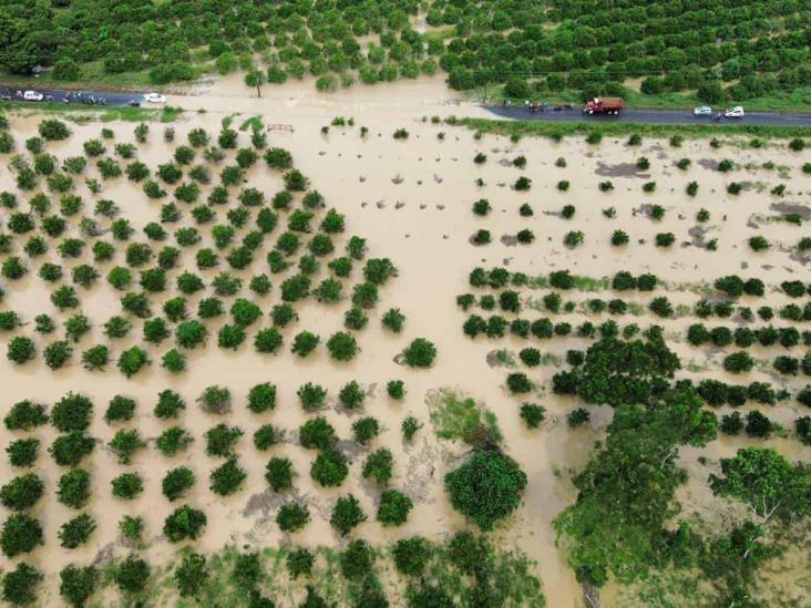 Alerta en Álamo por desbordamiento de arroyo Estero del Ídolo