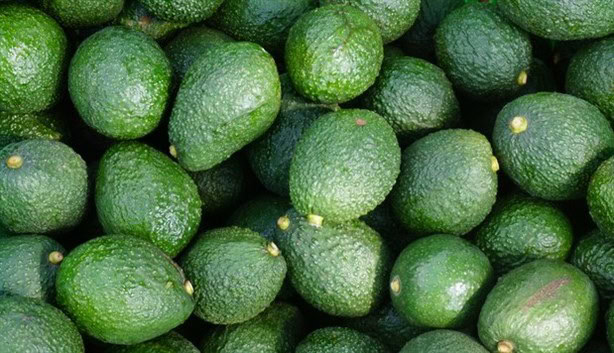 México es el primer productor mundial de aguacate