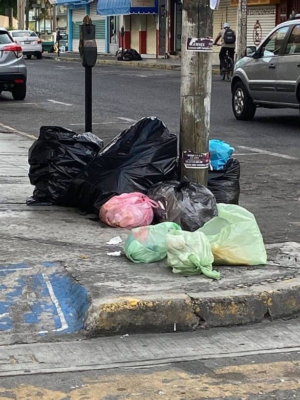 Esta es la multa en Veracruz por tirar basura en lugares no autorizados