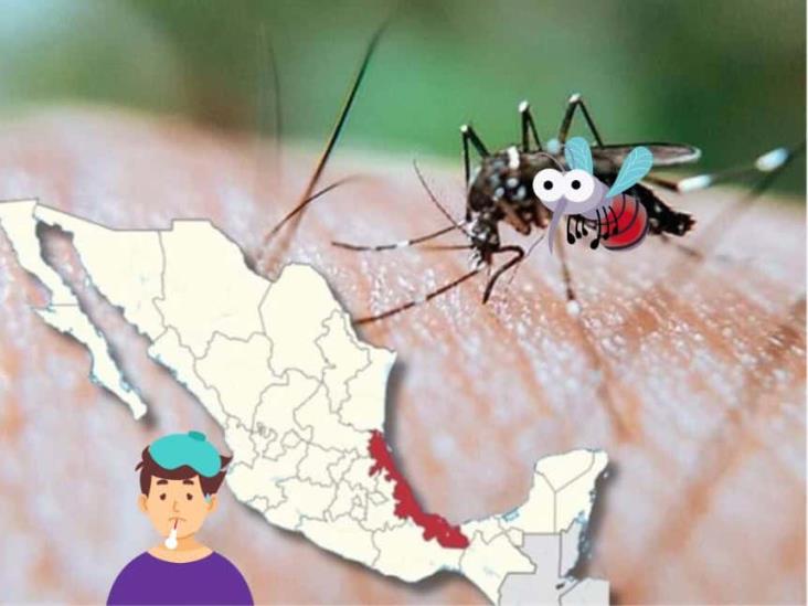 En Veracruz, 13 defunciones por dengue: Salud